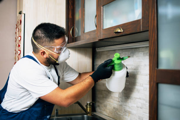 Best Exterminator Services  in State Center, IA