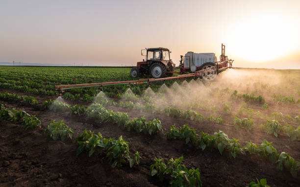 Best Wildlife Control Services  in State Center, IA